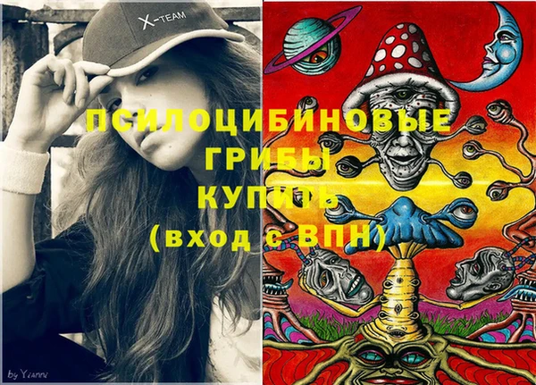 гидропоника Алексин