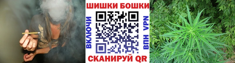 как найти   Тогучин  Каннабис тримм 